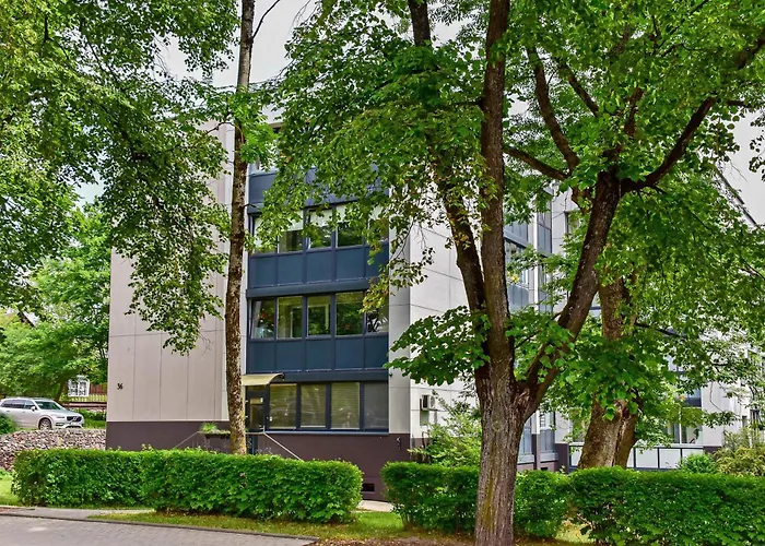 Stilingi Apartamentai Su Virtuve Traku Miesto Centre