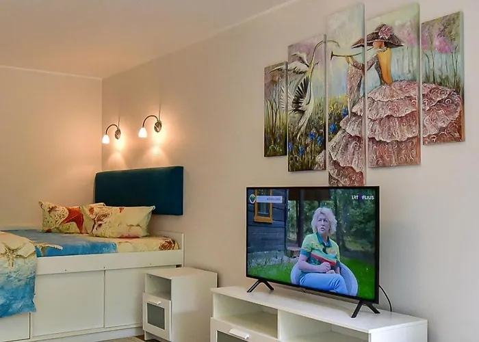 Stilingi Apartamentai Su Virtuve Traku Miesto Centre