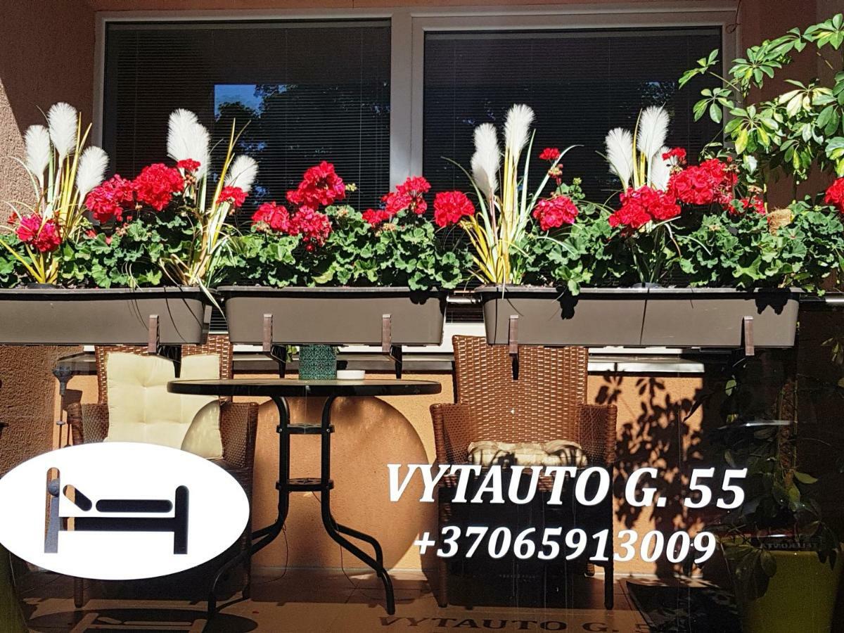 Stilingi Apartamentai Su Virtuve Traku Miesto Centre *