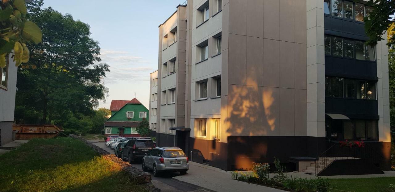 Butas Stilingi Apartamentai Su Virtuve Traku Miesto Centre Trakai